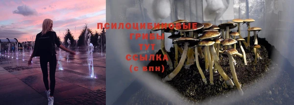 ГАЛЛЮЦИНОГЕННЫЕ ГРИБЫ Кинешма