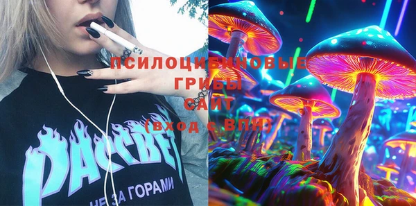 ГАЛЛЮЦИНОГЕННЫЕ ГРИБЫ Кинешма