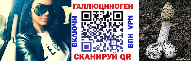 Галлюциногенные грибы Cubensis  Купить закладки  Высоковск 